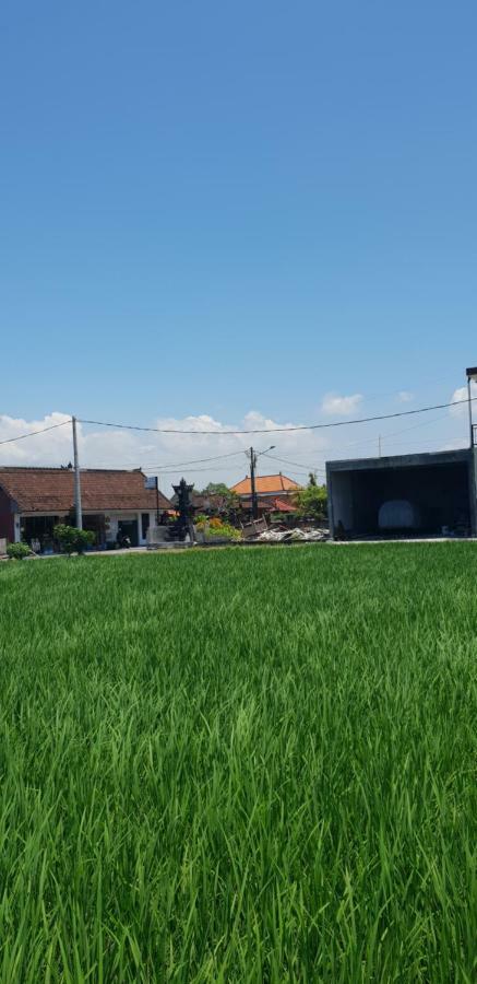 Sun Homestay Canggu Extérieur photo